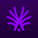 Action Model favicon