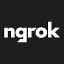 ngrok favicon